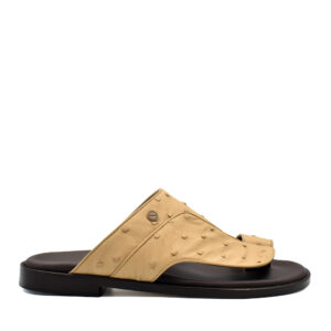 Vela Ostrich